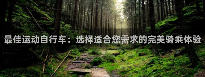 z6com尊龙凯时|最佳运动自行车:选择适合您需求的完美骑乘体验(图1) z6com尊龙凯时