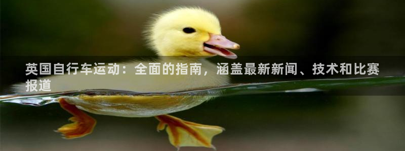 z6尊龙官方网站|英国自行车运动:全面的指南,涵盖最新新闻、技术和比赛
报道(图1) z6尊龙官方网站