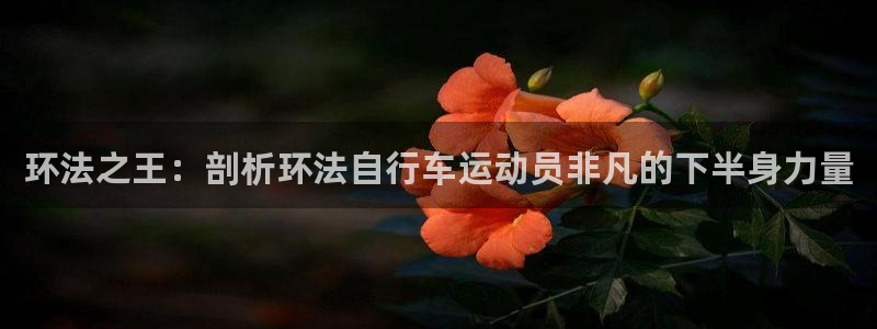尊龙会|环法之王:剖析环法自行车运动员非凡的下半身力量(图1) 尊龙会
