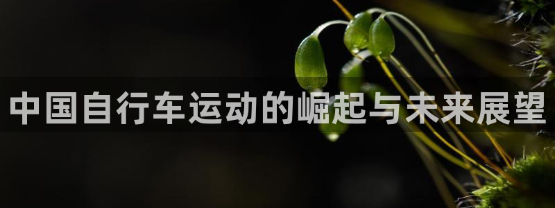 尊龙凯时中国官网|中国自行车运动的崛起与未来展望(图1) 尊龙凯时中国官网