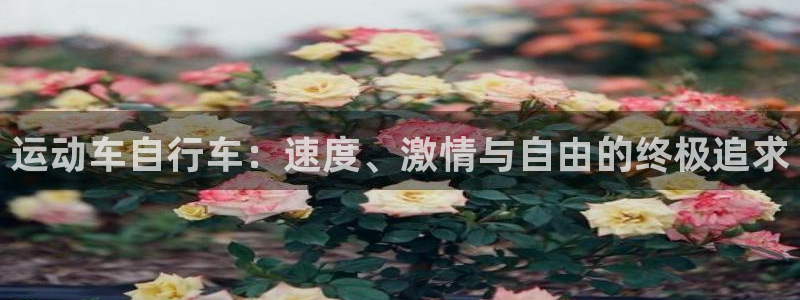 尊龙凯时人生|运动车自行车:速度、激情与自由的终极追求(图1) 尊龙凯时人生