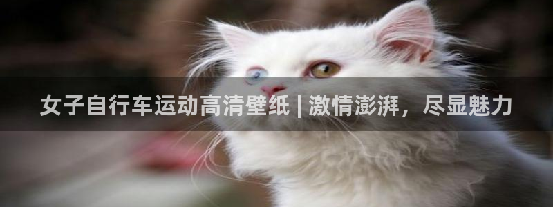 z6尊龙官方网站|女子自行车运动高清壁纸 | 激情澎湃,尽显魅力(图1) z6尊龙官方网站