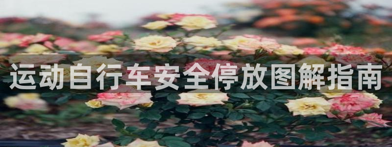 尊龙凯时人生就是博平台网站|运动自行车安全停放图解指南(图1) 尊龙凯时人生就是博平台网站
