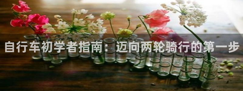 尊龙凯时-人生就是博z6com|自行车初学者指南:迈向两轮骑行的第一步(图1) 尊龙凯时-人生就是博z6com