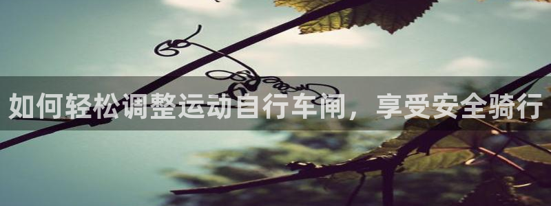 尊龙凯时的最新消息|如何轻松调整运动自行车闸,享受安全骑行(图1) 尊龙凯时的最新消息