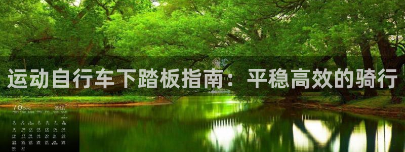 尊龙凯时网站|运动自行车下踏板指南:平稳高效的骑行(图1) 尊龙凯时网站