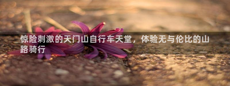 尊龙凯时是正规平台吗|惊险刺激的天门山自行车天堂,体验无与伦比的山
路骑行(图1) 尊龙凯时是正规平台吗