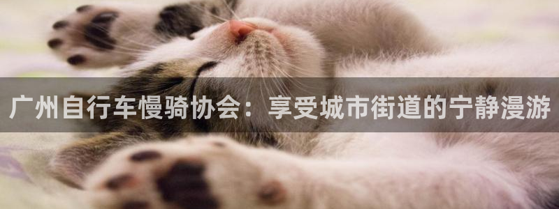 z6尊龙凯时ag旗舰厅|广州自行车慢骑协会:享受城市街道的宁静漫游(图1) z6尊龙凯时ag旗舰厅