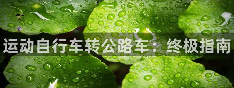 尊龙凯时官网|运动自行车转公路车:终极指南(图1) 尊龙凯时官网