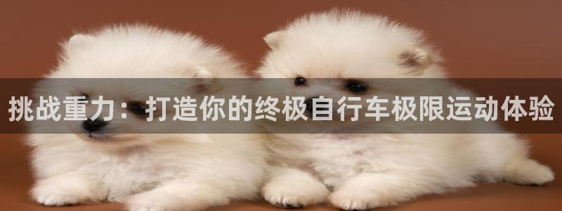 尊龙凯时的最新消息|挑战重力:打造你的终极自行车极限运动体验(图1) 尊龙凯时的最新消息