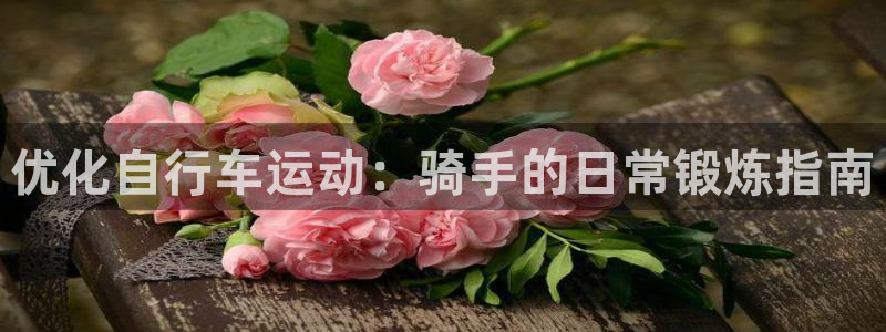 凯时尊龙登录入口|优化自行车运动:骑手的日常锻炼指南(图1) 凯时尊龙登录入口