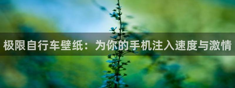 尊龙凯时 - 人生就是搏|极限自行车壁纸:为你的手机注入速度与激情(图1) 尊龙凯时 - 人生就是搏