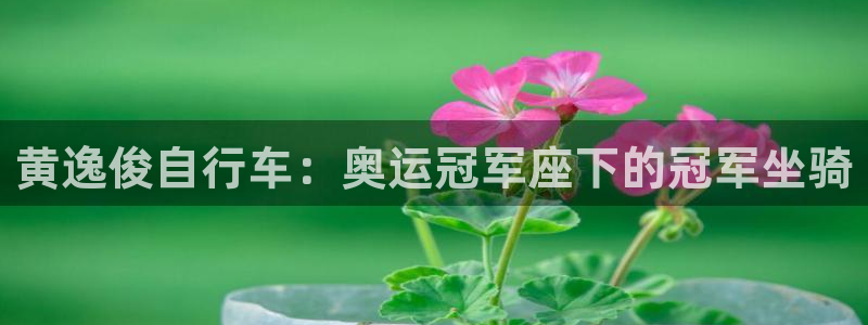 新版尊龙|黄逸俊自行车:奥运冠军座下的冠军坐骑(图1) 新版尊龙