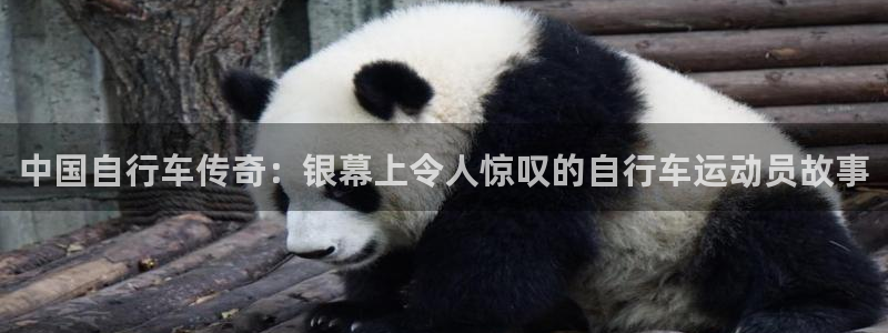 尊龙凯时d3563|中国自行车传奇:银幕上令人惊叹的自行车运动员故事(图1) 尊龙凯时d3563