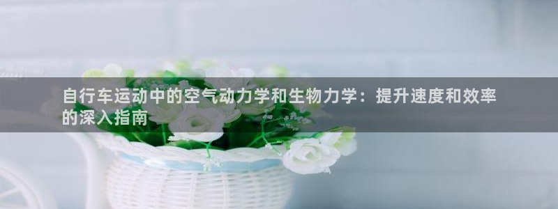 尊龙凯时中国官网|自行车运动中的空气动力学和生物力学:提升速度和效率
的深入指南(图1) 尊龙凯时中国官网